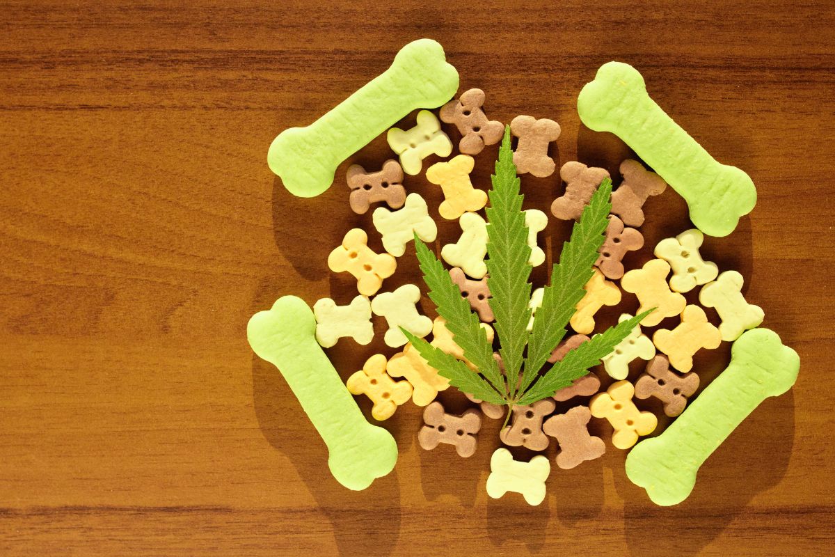 Dog Delta 8 Treats