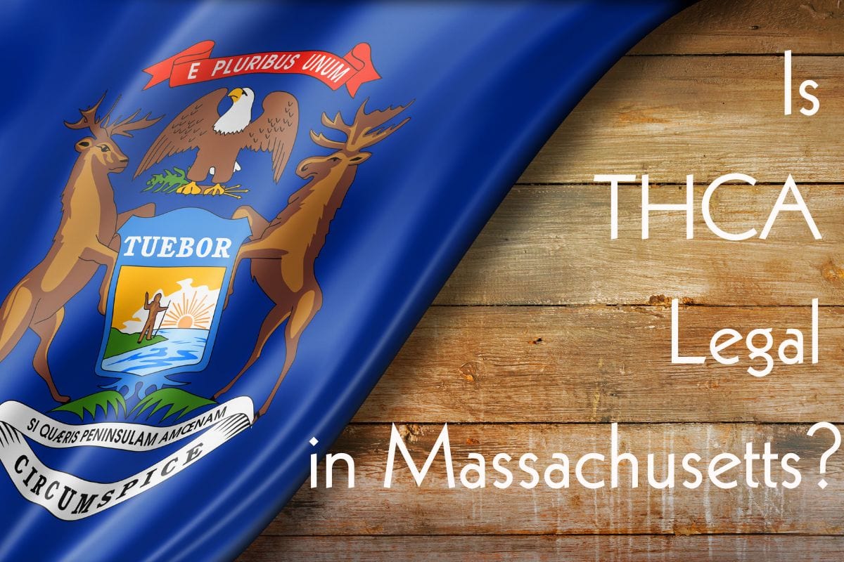Is THCa legal in Massachusetts banner.