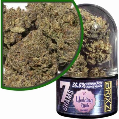 BRIXZ THCa Premium Indoor Flower 7g – Bulk Deal BRIXZ NYC THCa Premium Indoor Cannabis Flower 7g Wedding Kush