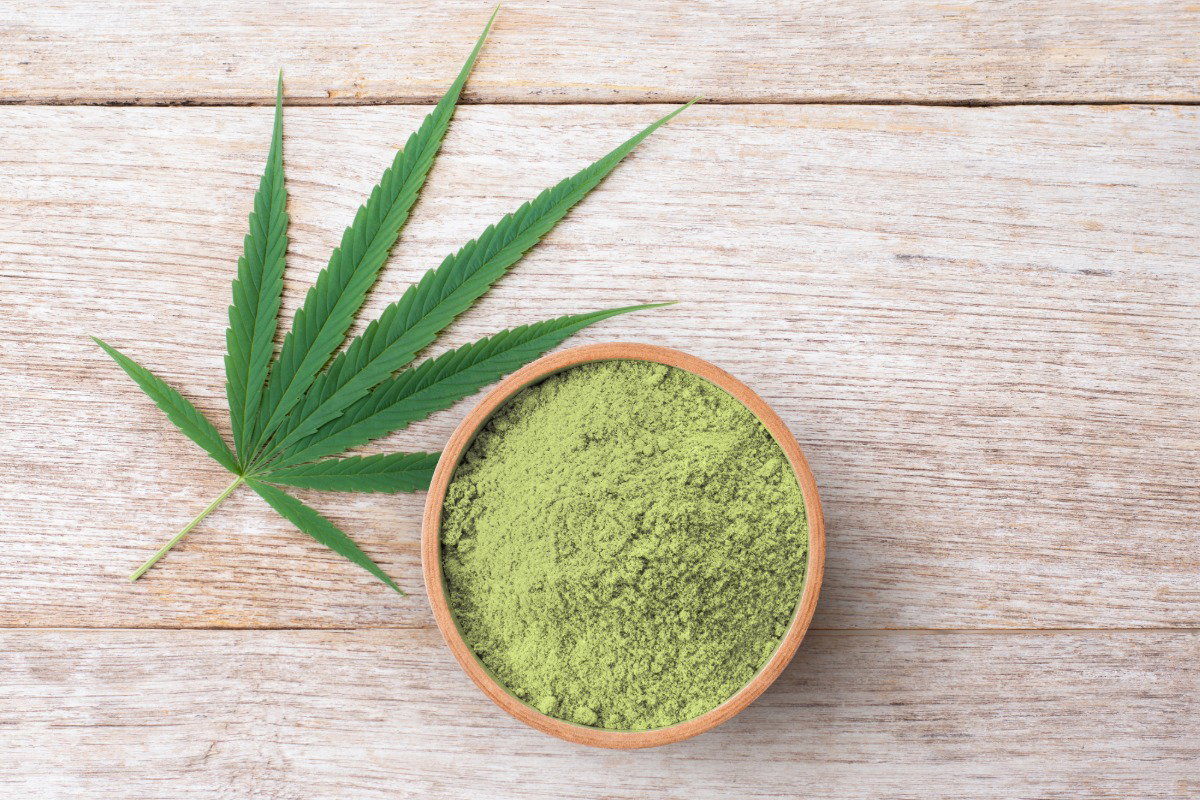 THCa supplement powder with cannabis leaf