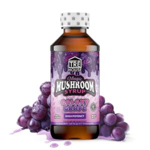 TRĒ House Mushroom Syrup - Galaxy Grape