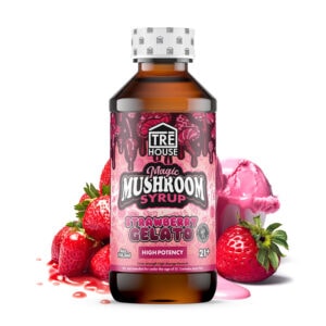 TRĒ House Mushroom Syrup - Strawberry Gelato