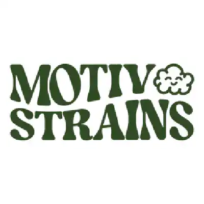 Motiv